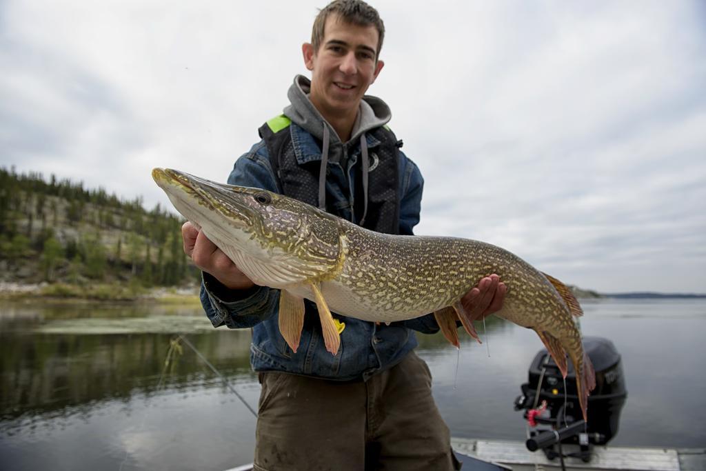 Yellow Dog Lodge, Inc. Yellowknife Esterno foto